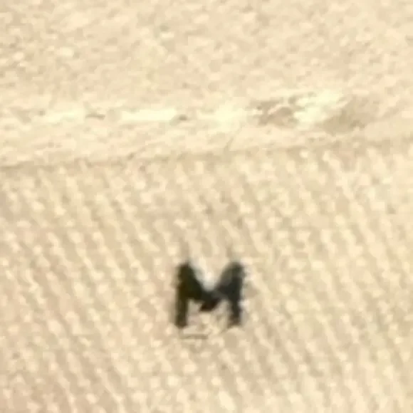 ANTHROPOLOGIE The Saige Faux Leather Motorcycle Jacket MEDIUM - Picture 12 of 13